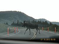 DSCN8678.JPG