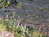 DSCN8712.JPG
