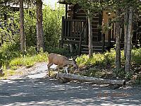 DSCN8895.JPG