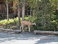 DSCN8896.JPG