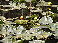 DSCN9013.JPG