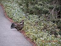 DSCN9114.JPG
