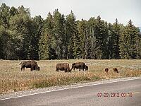 DSCN9416.JPG