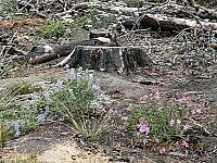 DSCN9512.JPG
