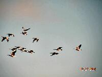 DSCN0027.JPG