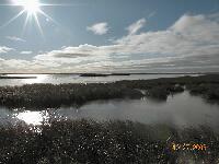 DSCN0039.JPG