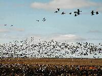 DSCN0081.JPG
