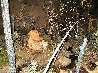 DSCN0105.JPG