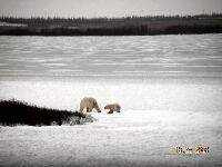 DSCN0136.JPG