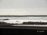 DSCN0137.JPG