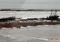 DSCN0154.JPG