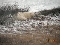 DSCN0155.JPG