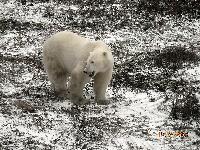 DSCN0177.JPG