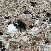 DSCN0231.JPG