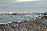 DSCN0233.JPG
