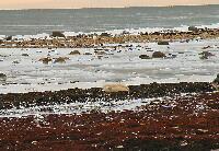DSCN0234.JPG