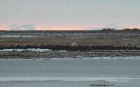 DSCN0241.JPG