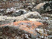 DSCN0296.JPG