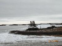 DSCN0311.JPG