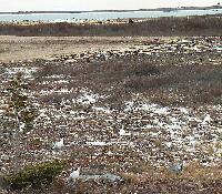 DSCN0335.JPG