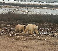 DSCN0348.JPG