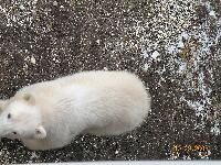 DSCN0351.JPG