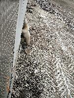 DSCN0355.JPG