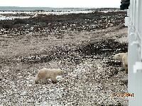 DSCN0366.JPG
