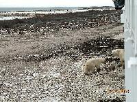 DSCN0367.JPG