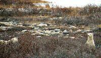 DSCN0394.JPG