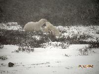 DSCN0469.JPG