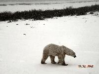 DSCN0519.JPG