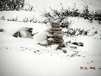 DSCN0535.JPG