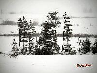 DSCN0536.JPG