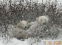 DSCN0579.JPG