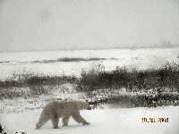 DSCN0593.JPG