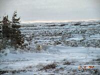 DSCN0606.JPG