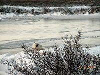 DSCN0660.JPG