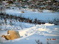 DSCN0679.JPG