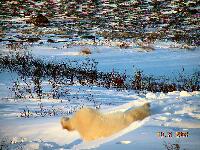 DSCN0682.JPG