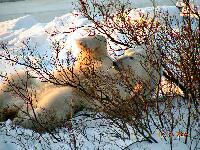 DSCN0695.JPG