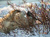 DSCN0697.JPG