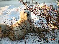 DSCN0698.JPG