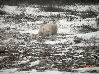DSCN0761.JPG