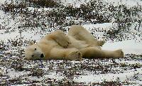 DSCN0764.JPG