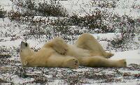 DSCN0769.JPG