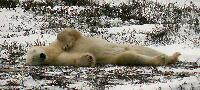 DSCN0774.JPG