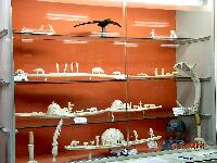 DSCN0819.JPG