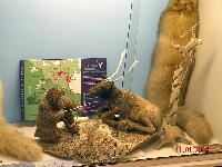 DSCN0823.JPG
