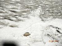DSCN0882.JPG